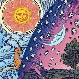 Meet your Posher, Maddie